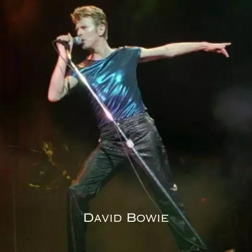 David Bowie - Heroes (Live)