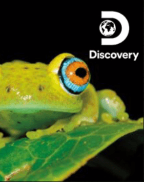 Discovery Science - Weird Connections